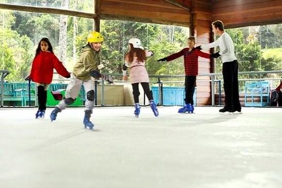 LOCAIS PATINAÇÃO NO GELO IceHockey