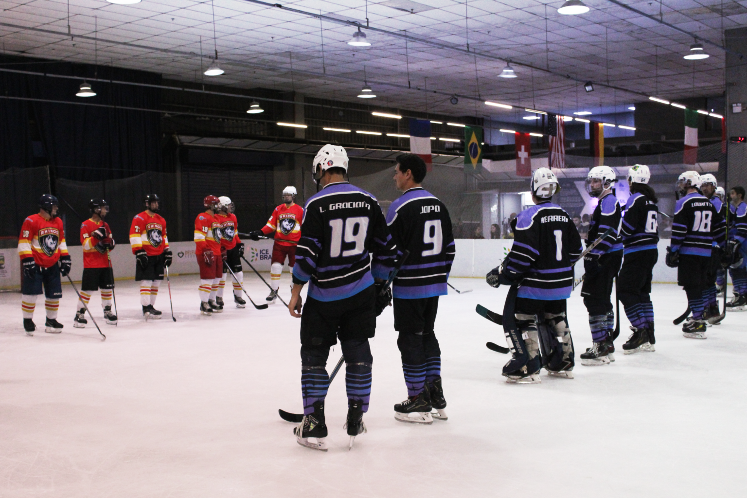 CAMPEONATO BRASILEIRO MASCULINO DE HOCKEY NO GELO