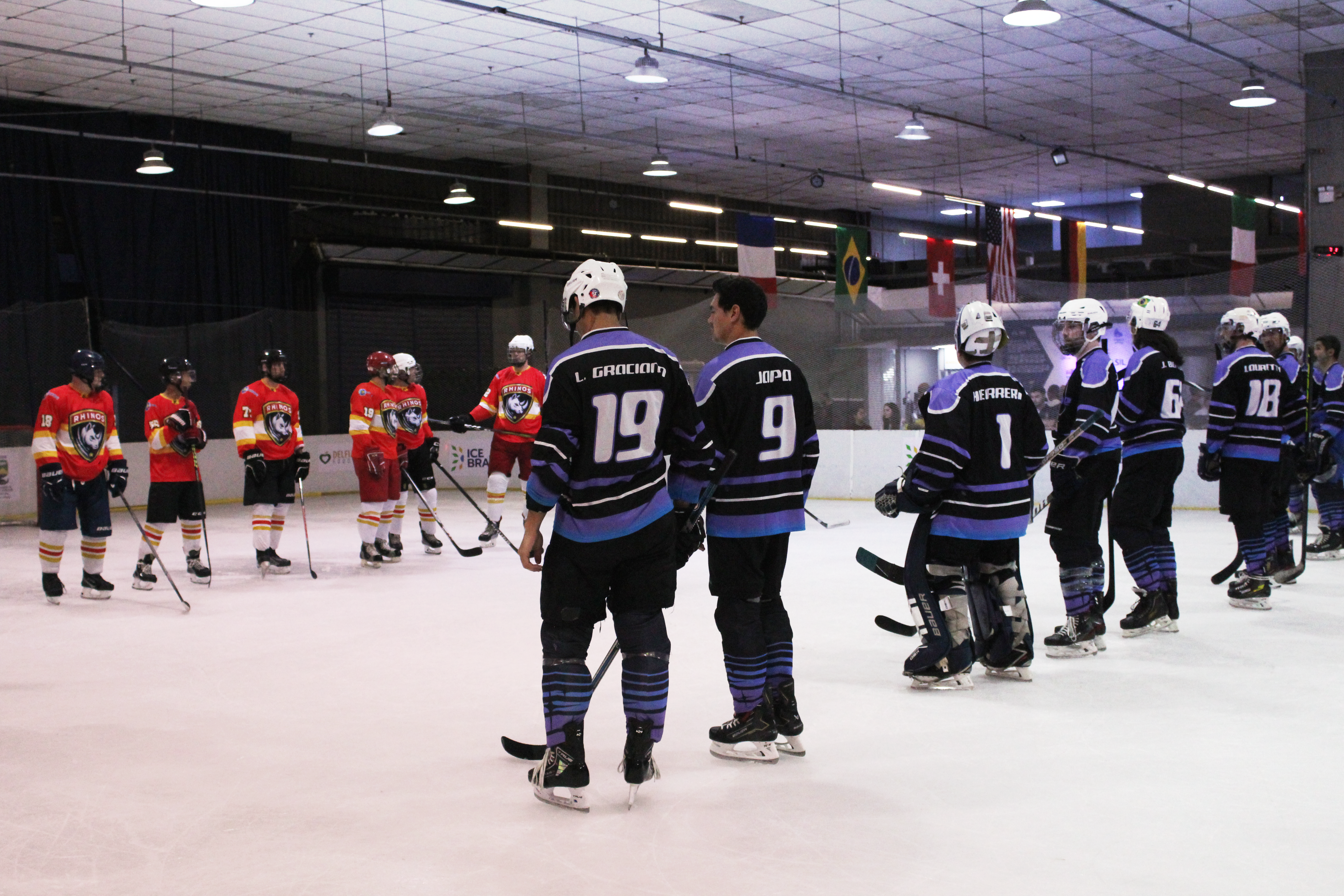 CAMPEONATO BRASILEIRO MASCULINO DE HOCKEY NO GELO 