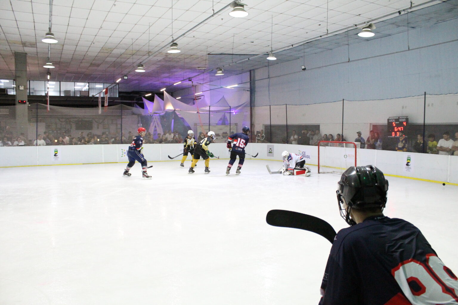 CAMPEONATO BRASILEIRO MASCULINO DE HOCKEY NO GELO