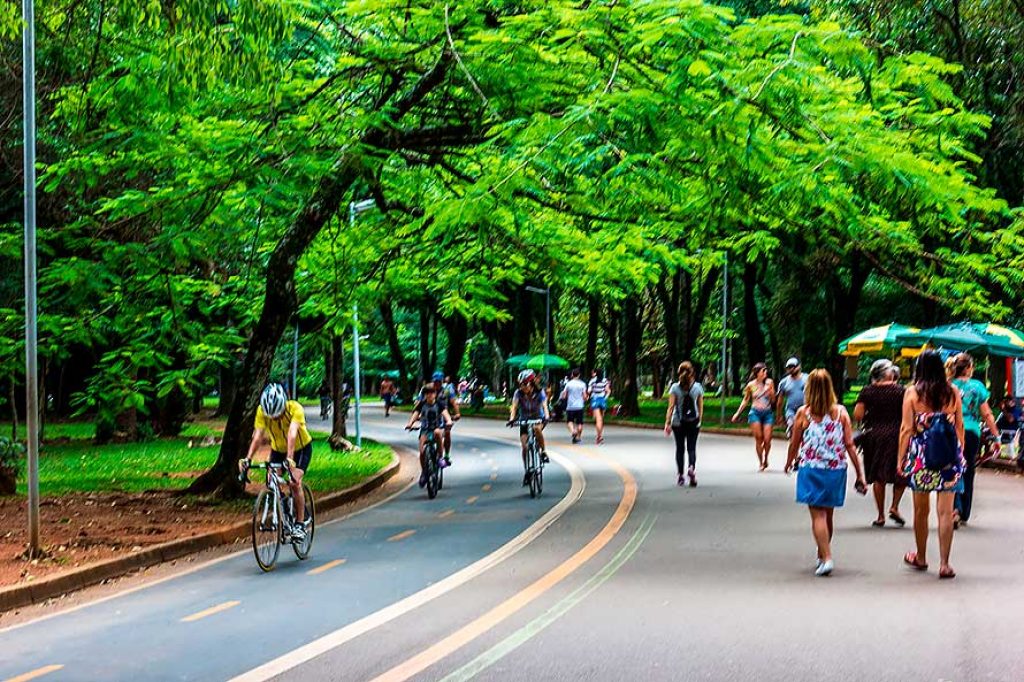 Ciclovia do Ibirapuera, Fonte: Domicio (2025)