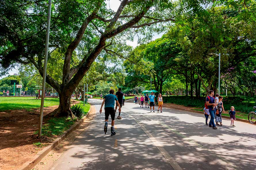 Patinador em ciclovia do Ibirapuera, Fonte: Domicio (2025)