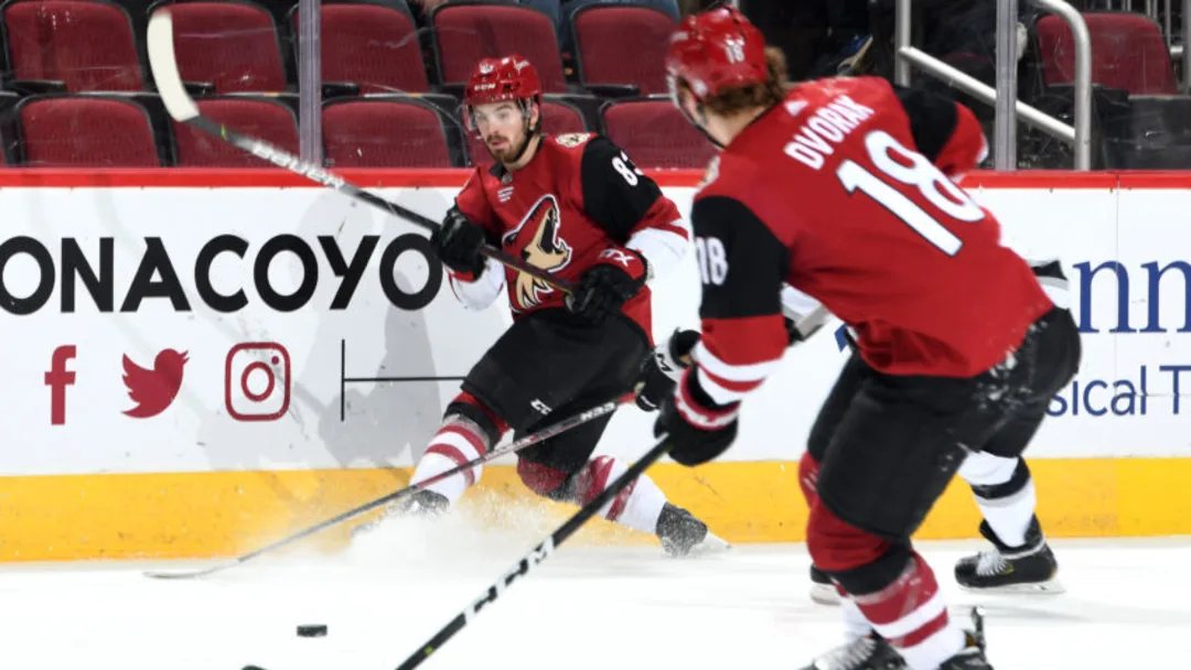 Jogo com a franquia anterior do Arizona Coyotes –Photo by Norm Hall/NHLI via Getty Images (Howlin hockey - 2020)