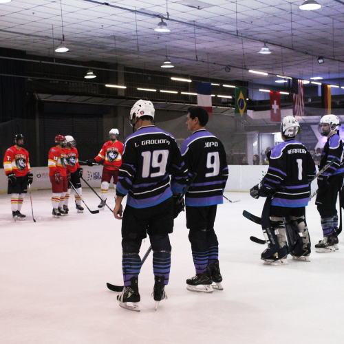 CAMPEONATO BRASILEIRO MASCULINO DE HOCKEY NO GELO 